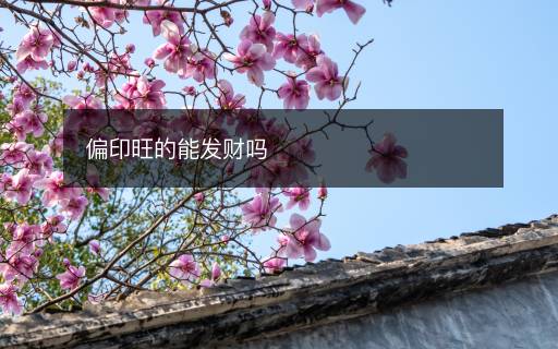 偏印旺的能發(fā)財嗎