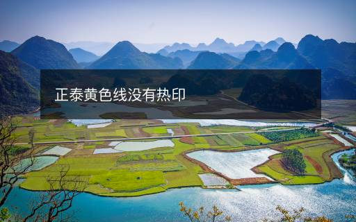 正泰黃色線沒有熱印