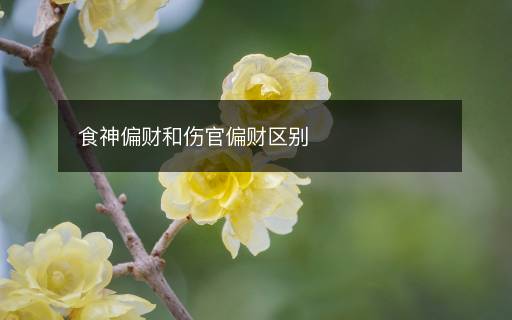 食神偏財和傷官偏財區(qū)別