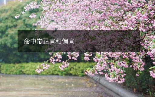 命中帶正官和偏官