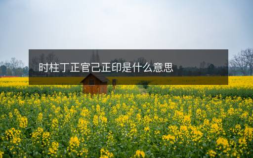 時柱丁正官己正印是什么意思