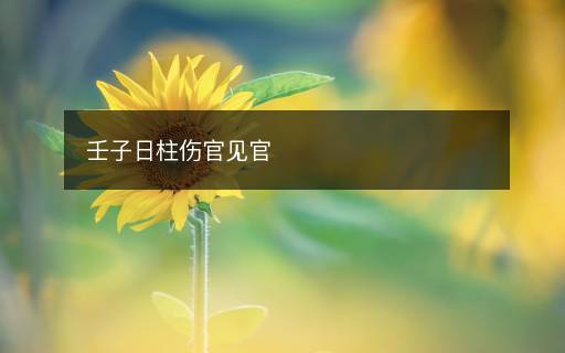 壬子日柱傷官見官