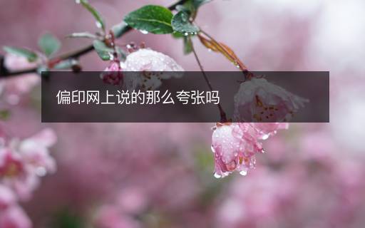偏印網(wǎng)上說的那么夸張嗎
