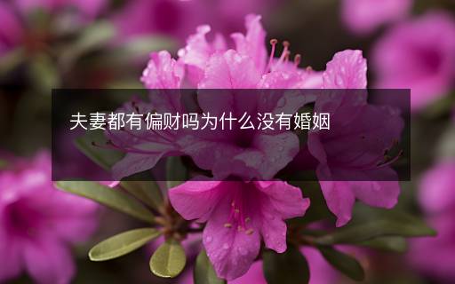 夫妻都有偏財嗎為什么沒有婚姻