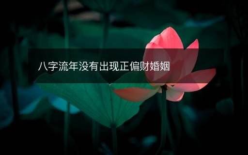 八字流年沒有出現(xiàn)正偏財(cái)婚姻