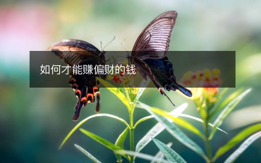 如何才能賺偏財(cái)?shù)腻X