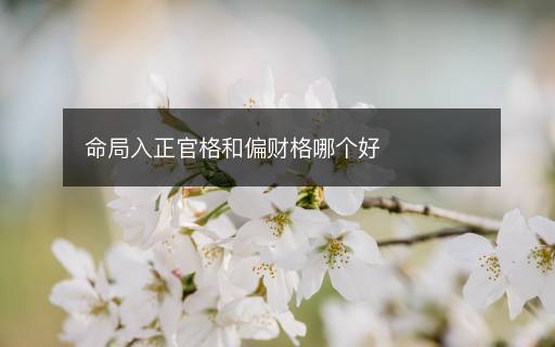 命局入正官格和偏財(cái)格哪個(gè)好