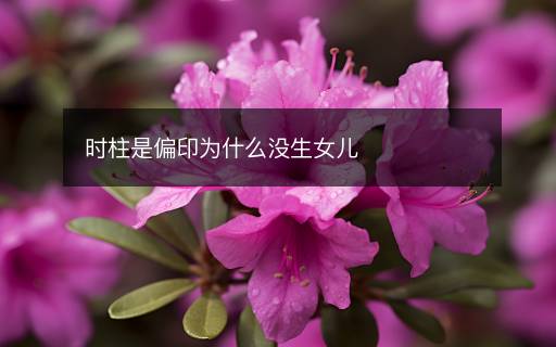 時柱是偏印為什么沒生女兒