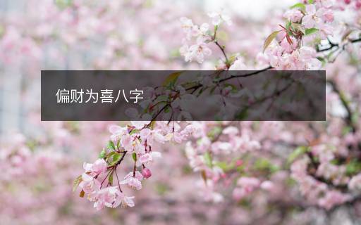 偏財為喜八字