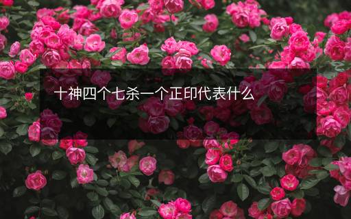 十神四個七殺一個正印代表什么