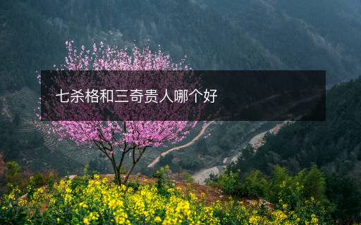 七殺格和三奇貴人哪個(gè)好