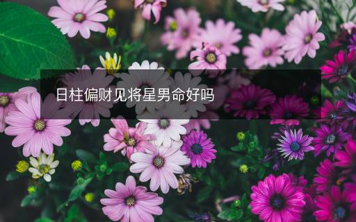 日柱偏財見將星男命好嗎