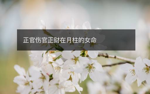 正官傷官正財(cái)在月柱的女命
