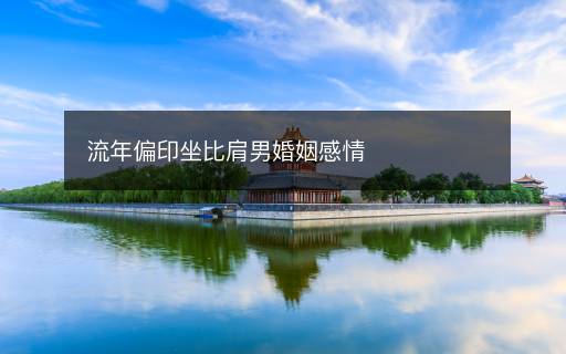 流年偏印坐比肩男婚姻感情