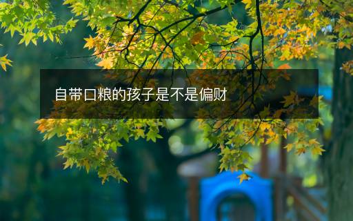 自帶口糧的孩子是不是偏財(cái)