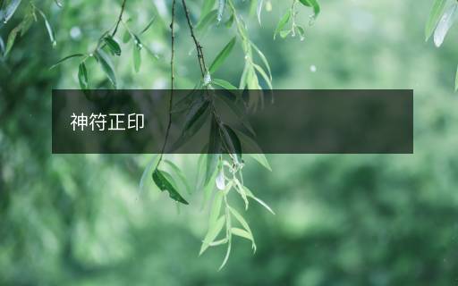 神符正印