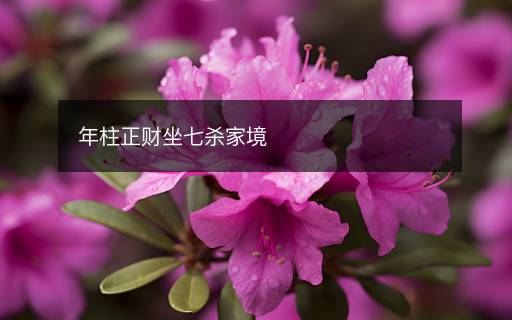 年柱正財坐七殺家境