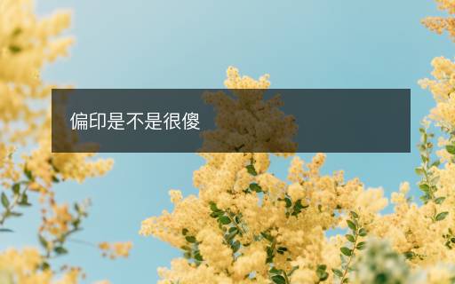 偏印是不是很傻