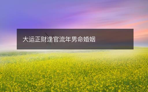 大運(yùn)正財逢官流年男命婚姻
