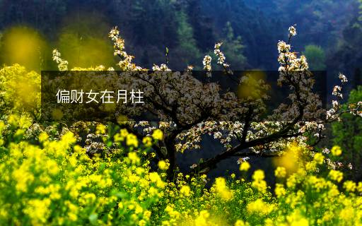 偏財(cái)女在月柱