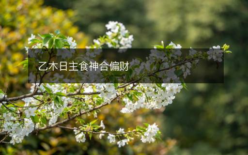 乙木日主食神合偏財