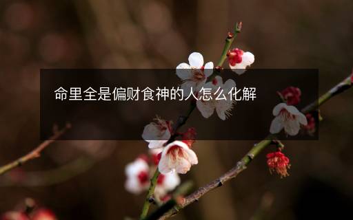 命里全是偏財(cái)食神的人怎么化解