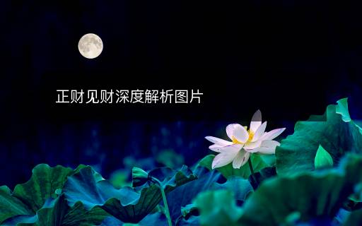 正財(cái)見財(cái)深度解析圖片