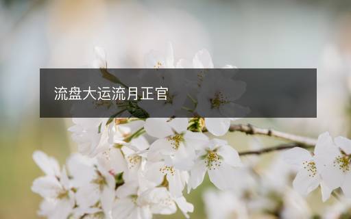 流盤大運流月正官
