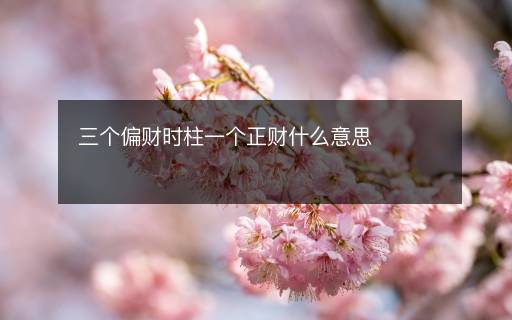 三個(gè)偏財(cái)時(shí)柱一個(gè)正財(cái)什么意思