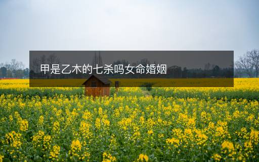 甲是乙木的七殺嗎女命婚姻