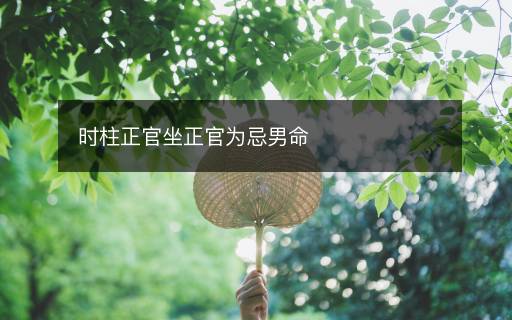時(shí)柱正官坐正官為忌男命