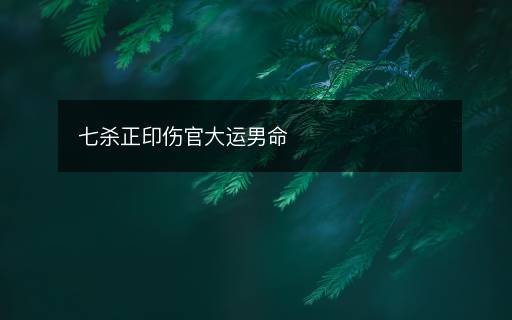 七殺正印傷官大運(yùn)男命