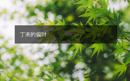 丁末的偏財