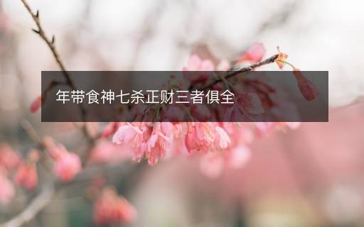 年帶食神七殺正財三者俱全
